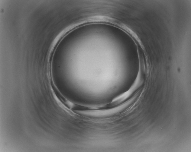 X0000078891342200611131220