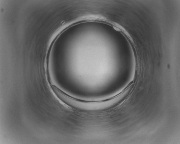 X0000078891343200611131220