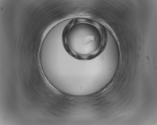 X0000078891344200611131220