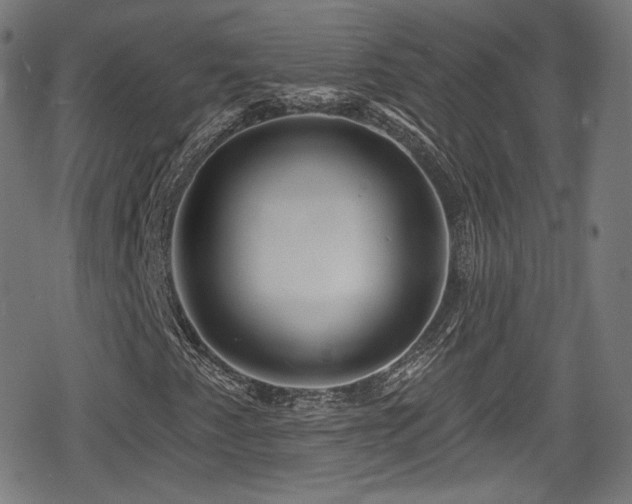X0000078891345200611131220
