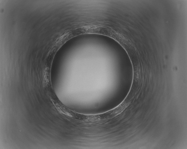 X0000078891346200611131219