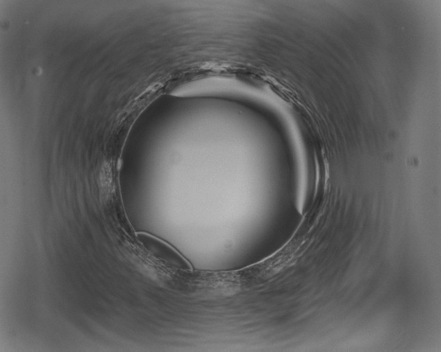 X0000078891347200611131219