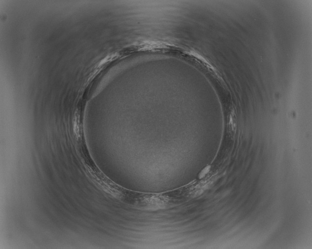 X0000078891348200611131219