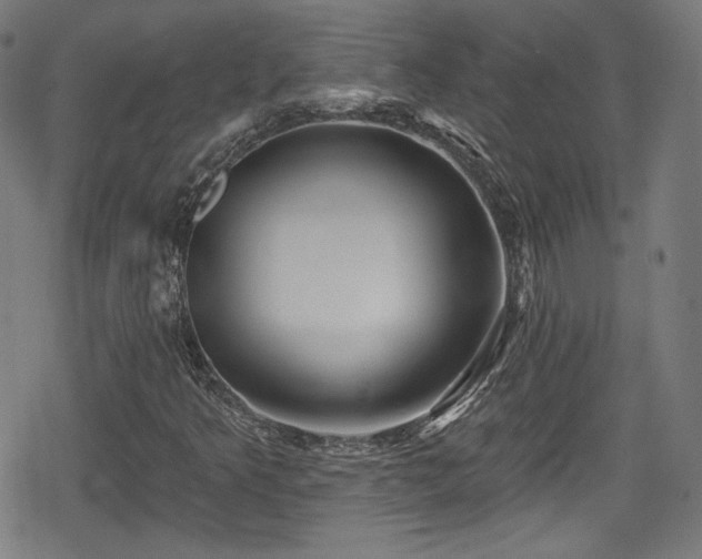 X0000078891349200611131219