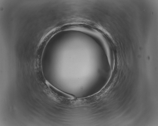 X0000078891352200611131219