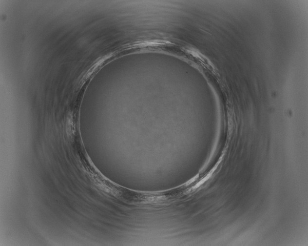 X0000078891353200611131219