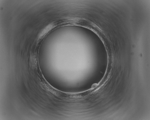 X0000078891354200611131219