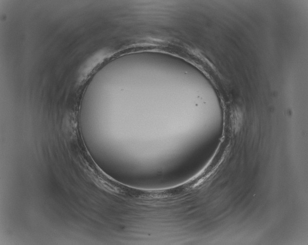 X0000078891355200611131219