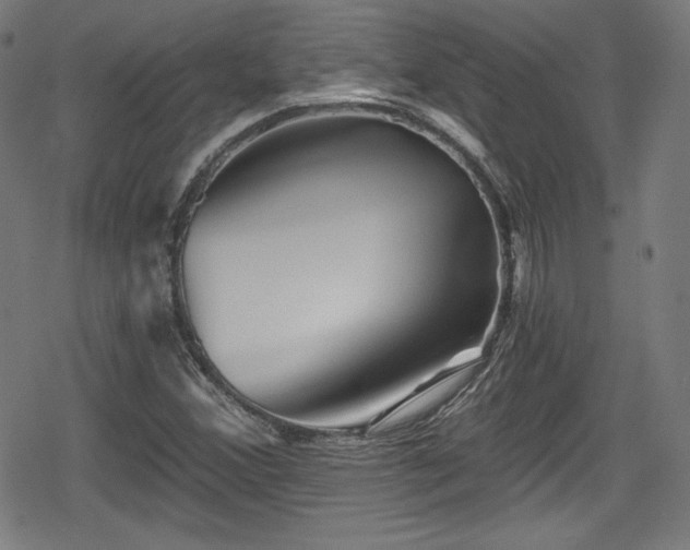 X0000078891356200611131219