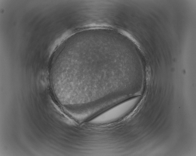 X0000078891357200611131219