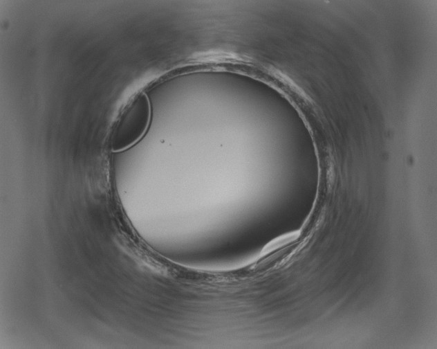 X0000078891358200611131219