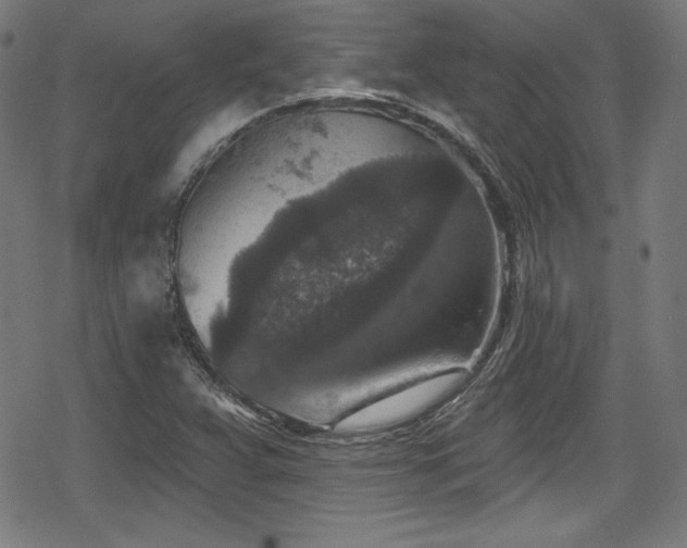 X0000078891359200611131219