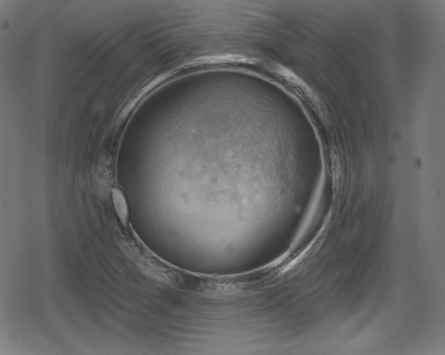 X0000078891361200611131219