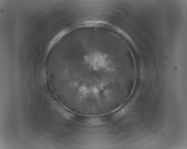 X0000078891362200611131219