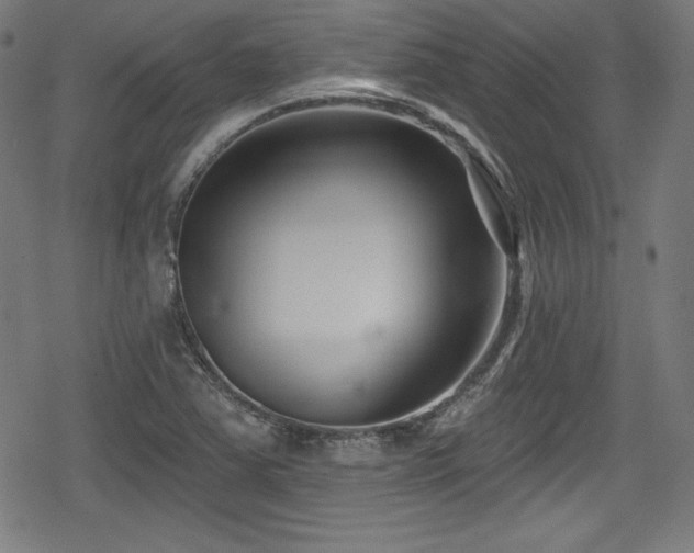 X0000078891363200611131219