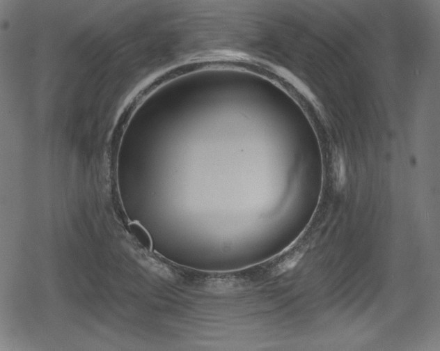 X0000078891364200611131219