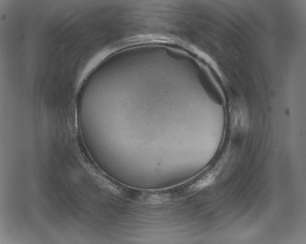 X0000078891365200611131219