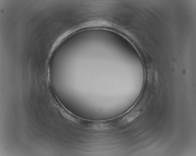 X0000078891366200611131219