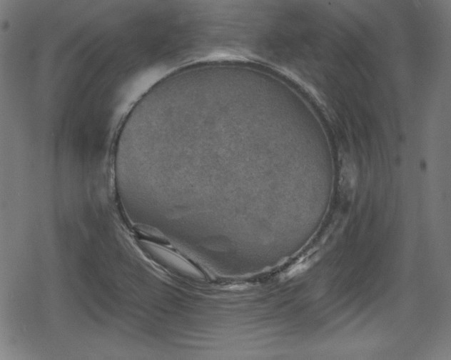 X0000078891367200611131219