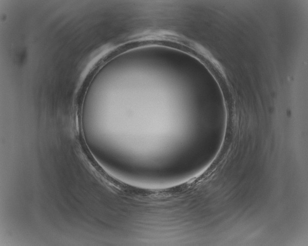 X0000078891368200611131219