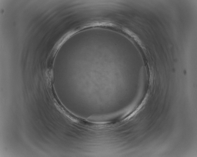 X0000078891369200611131219