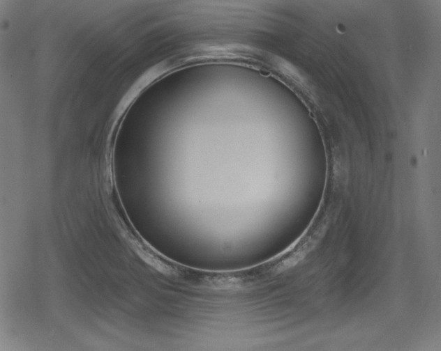 X0000078891370200611131219