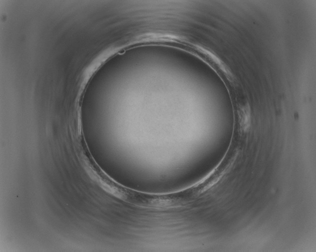 X0000078891371200611131219