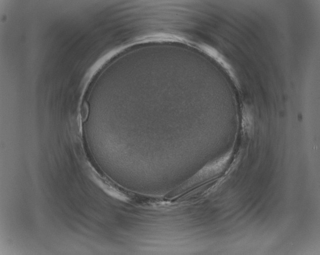 X0000078891372200611131219