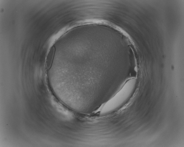 X0000078891373200611131219