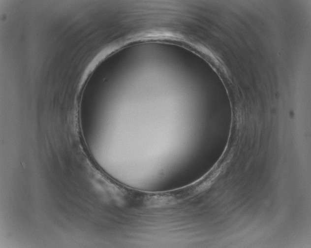 X0000078891374200611131219