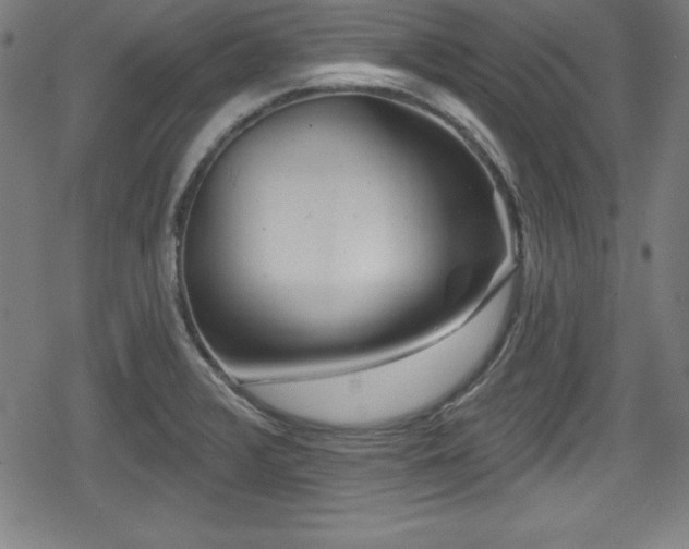 X0000078891376200611131219