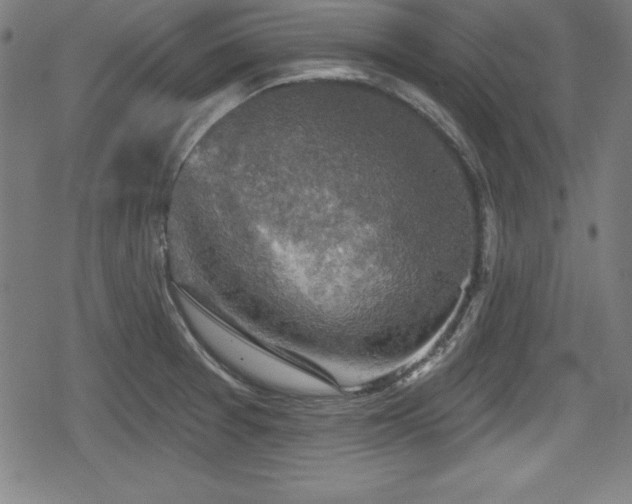 X0000078891377200611131219