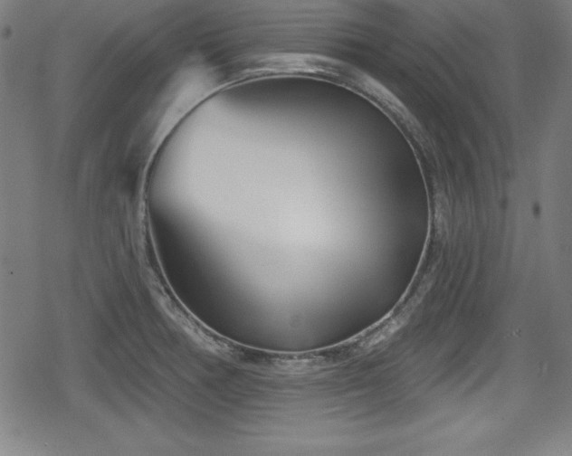 X0000078891378200611131219