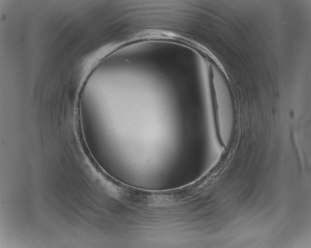 X0000078891379200611131219