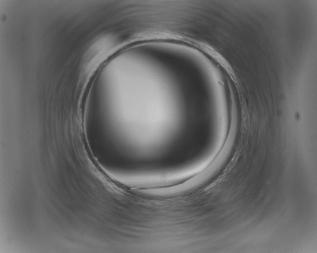 X0000078891380200611131219
