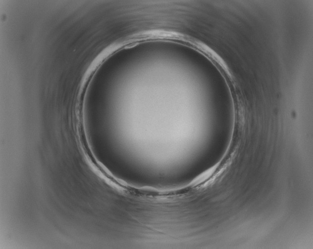 X0000078891381200611131219