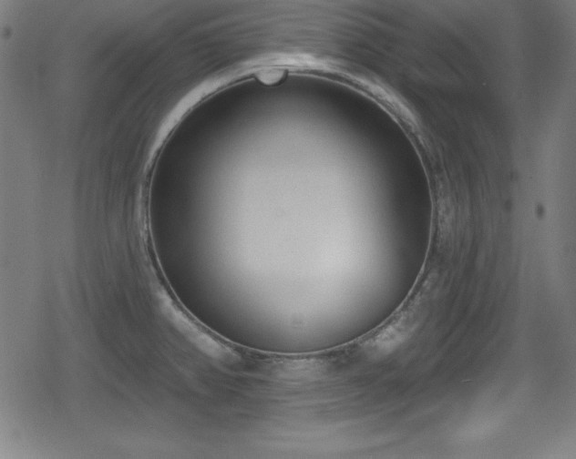 X0000078891382200611131219