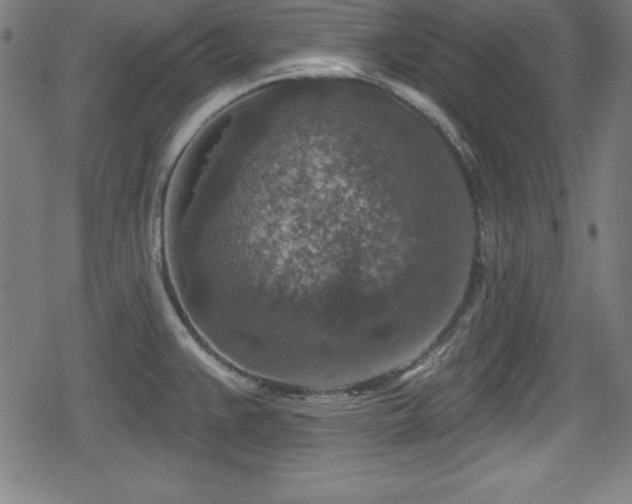 X0000078891383200611131219