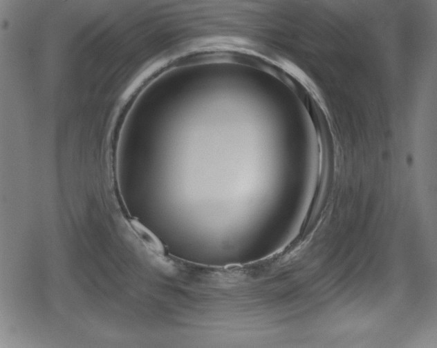 X0000078891384200611131219