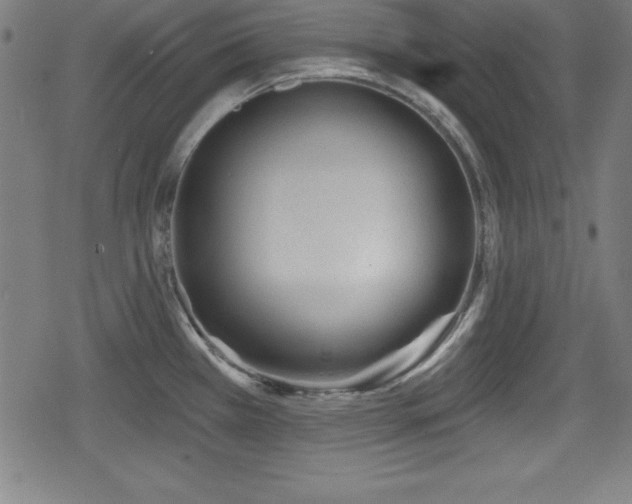 X0000078891385200611131219