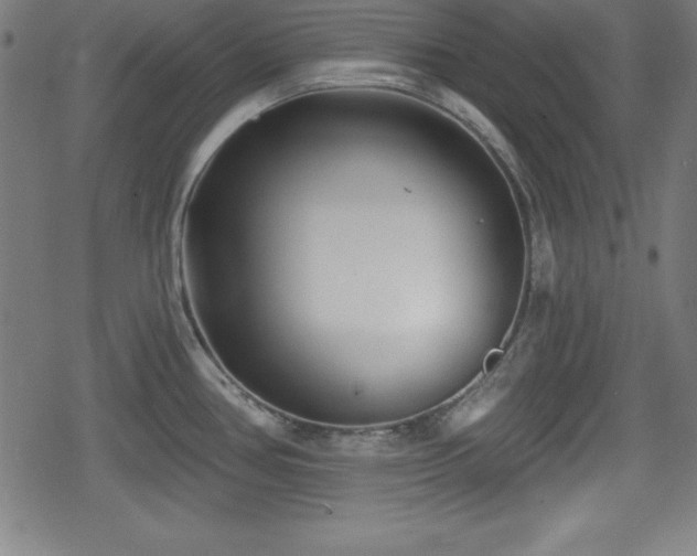 X0000078891386200611131219