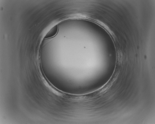 X0000078891387200611131219