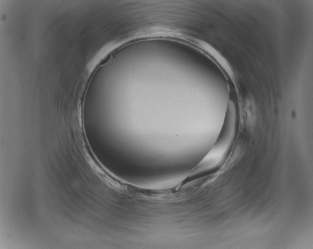 X0000078891388200611131219