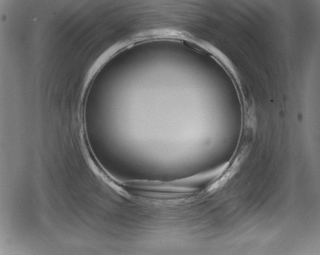 X0000078891389200611131219