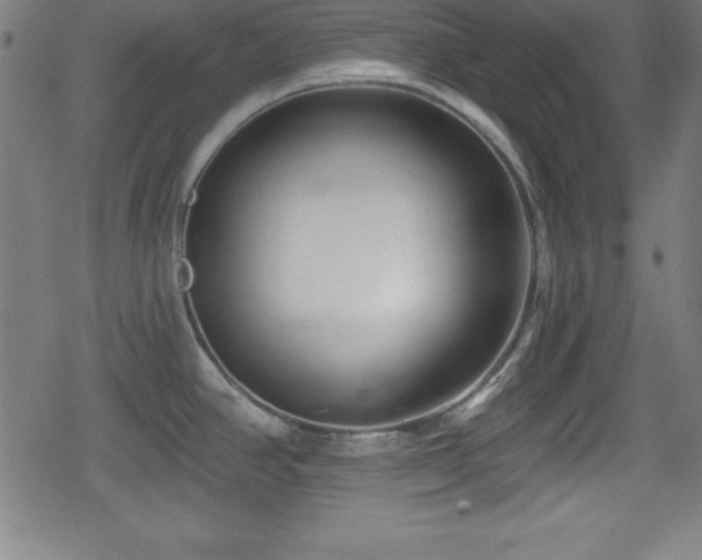 X0000078891390200611131219