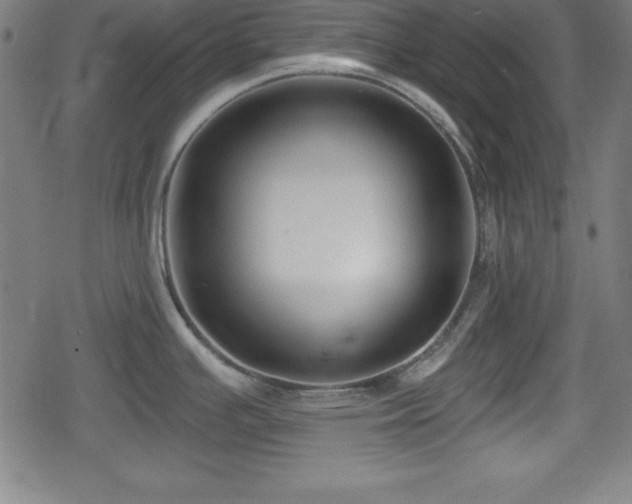 X0000078891391200611131219