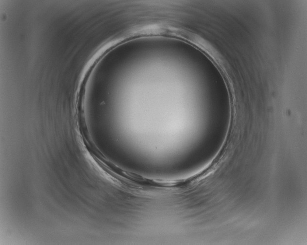 X0000078891392200611131219