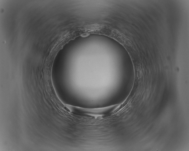 X0000078891393200611131218