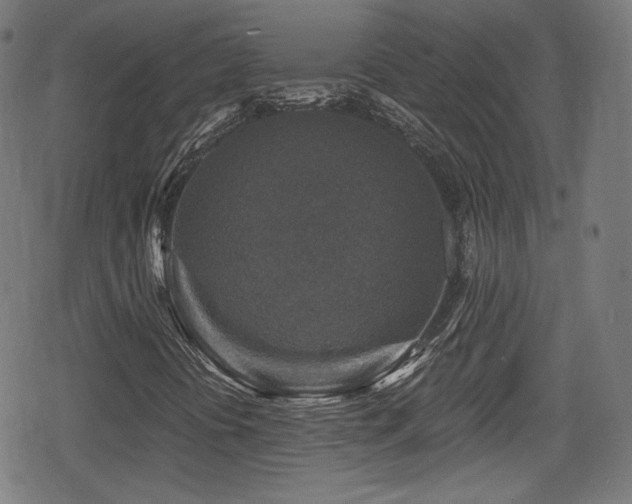 X0000078891394200611131218