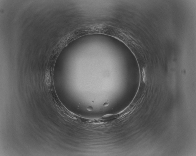 X0000078891395200611131218